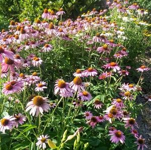 Reasonable Offers Welcome!